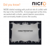 NICRO History
